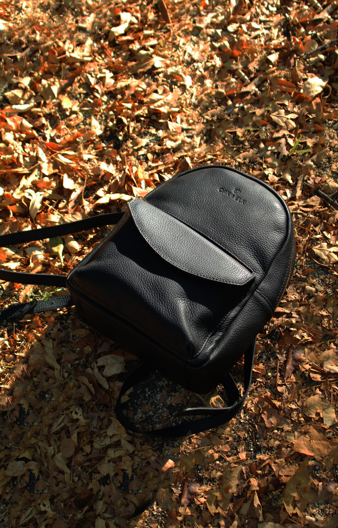 Oak and Elk Black Leather Backpack